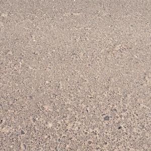 Meet your Posher, Dora